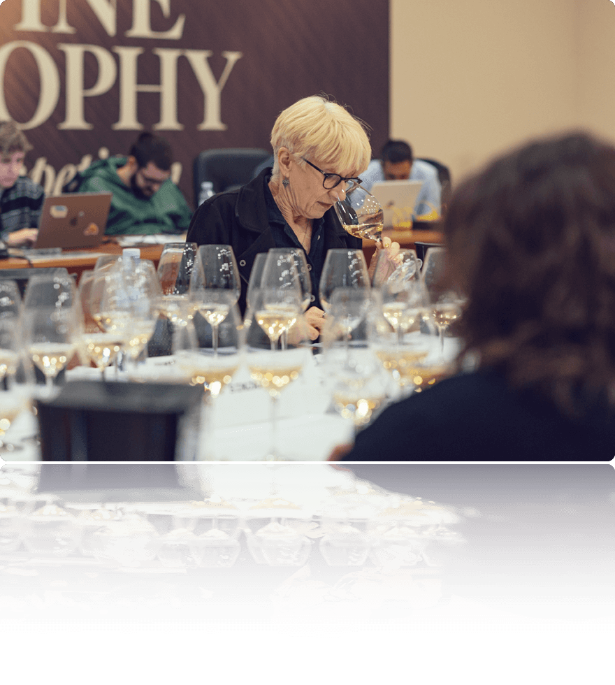 Wine Vision OBWT image 3