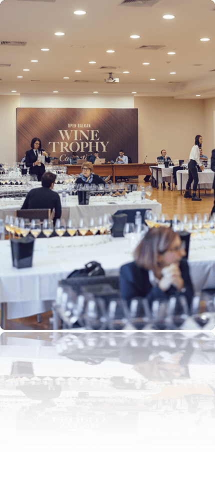 Wine Vision OBWT image 5
